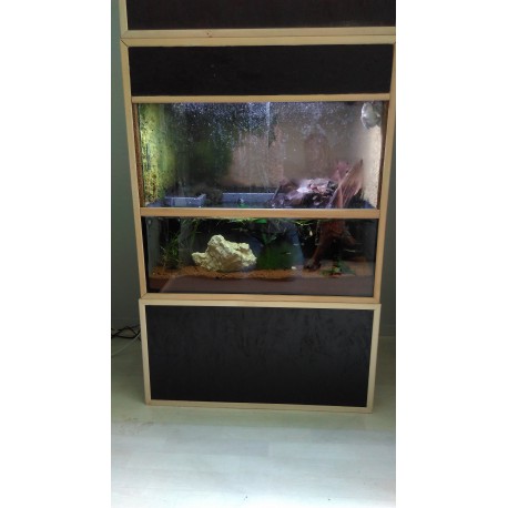 Aquaterrarium