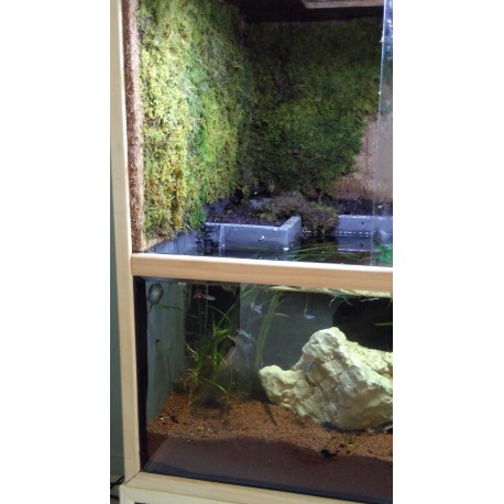 Aquaterrarium