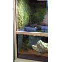 Aquaterrarium