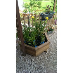 Jardinière hexagonale 800 sur plats
