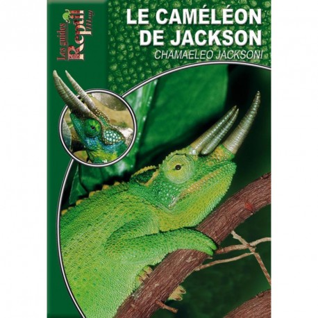 Chamaeleo Jackson - Le Caméléon de Jackson