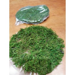 Feuille de mousse par 2