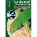 Le Gecko Géant de Madagascar - Phelsuma madagascariensis grandis