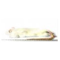 Rat adulte 150-250g congelé