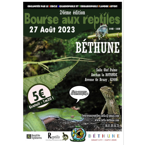 Affiche BETHUNE Aout 2023