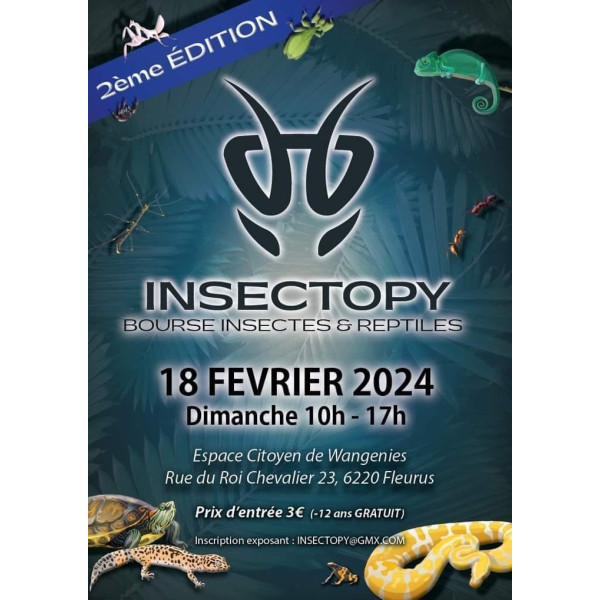 Affiche salon INSECTOPY terrariophilie (Belgique)