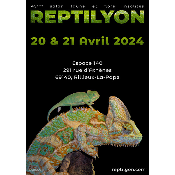 Affiche bourse REPTILYON 2024
