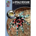 La Mygale Mexicaine - Brachypelma smithi