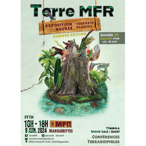 Affiche TERRE MFR (30) Marguerites