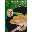 Le Gecko à Crête - Rhacodactylus ciliatus