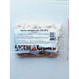 Rat juvénile 26-50g congelé