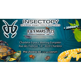 04 Affiche salon Insectopy (Charleroi) 2025