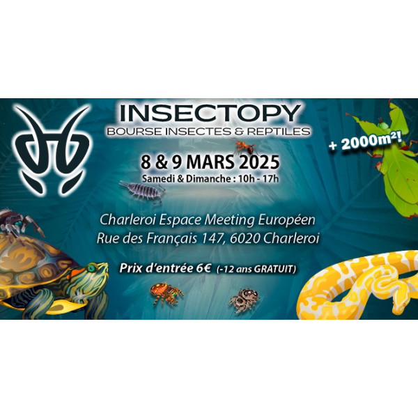 04 Affiche salon Insectopy (Charleroi) 2025