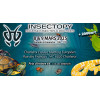 04 Affiche salon Insectopy (Charleroi) 2025