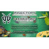 12 Affiche salon Insectopy (Charleroi) 2025