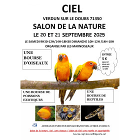 15 Affiche salon Ciel (71)