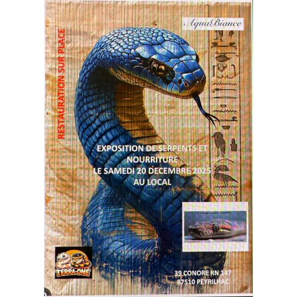 20 Affiche salon Limoges (87)