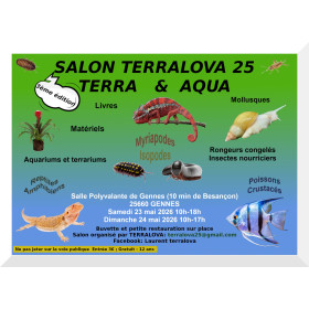52 Affiche TERRALOVA 25