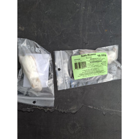 Souris adulte 16-22g congelée