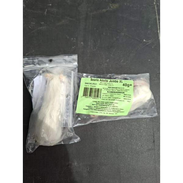 Souris XL +40g congelée