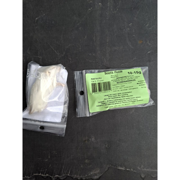 Souris subadulte 10-15g congelée