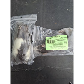 Rat adulte 151-200g congelé