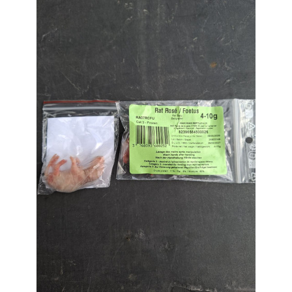 Rat bébé 4-10g congelé