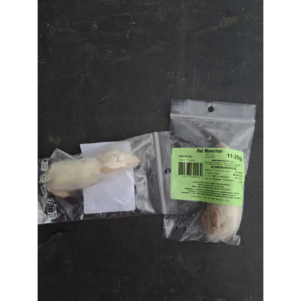 Rat blanchon 11-25g congelé
