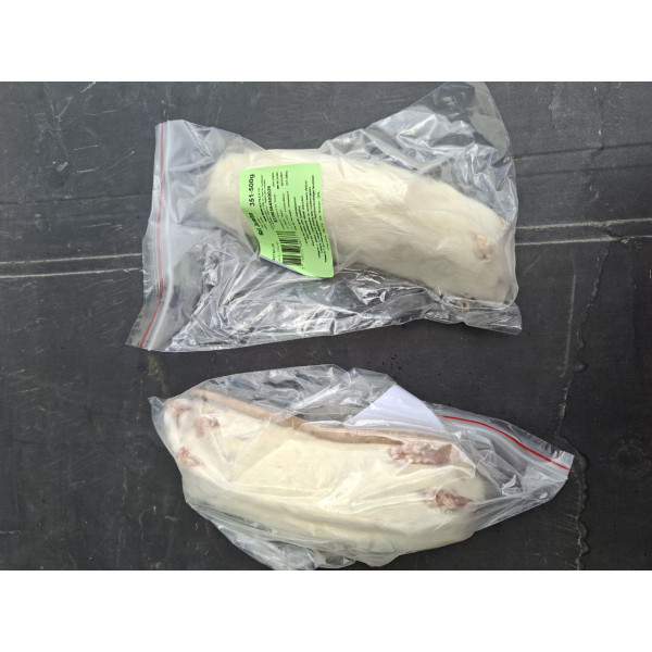 Rat jumbo +351g congelé