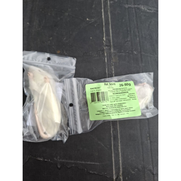 Rat juvénile 26-50g congelé