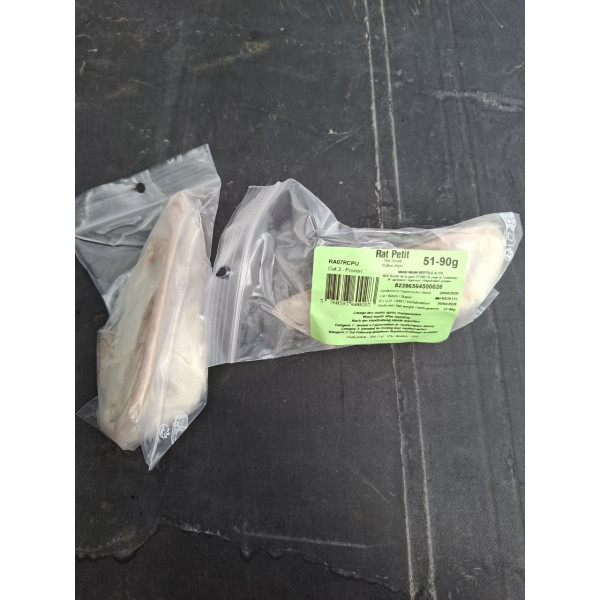 Rat petit 51-90g congelé