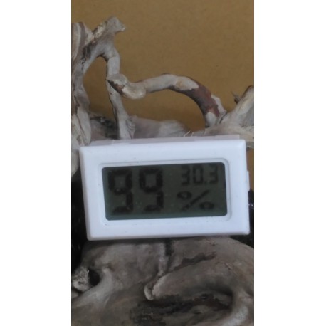Thermomètre hygromètre digital clipsable