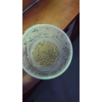 Drosophile