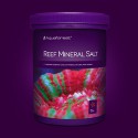 Reef mineral salt