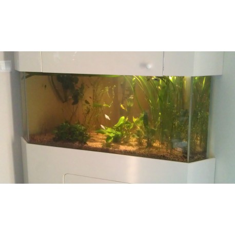 Aquarium et meuble d'angle 350 litres