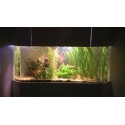 Aquarium et meuble d'angle 350 litres