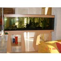 Aquarium et meuble 600 litres