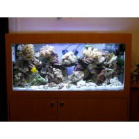 Aquarium et meuble  540 litres fibre et résine
