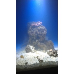 Aquarium 600 litres