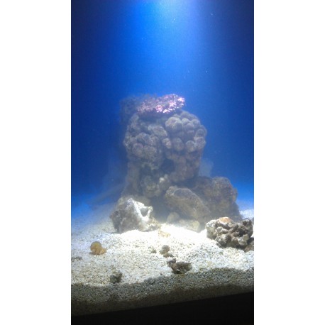 Aquarium 600 litres