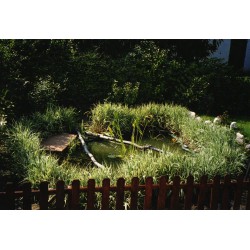 Bassin 2000 litres