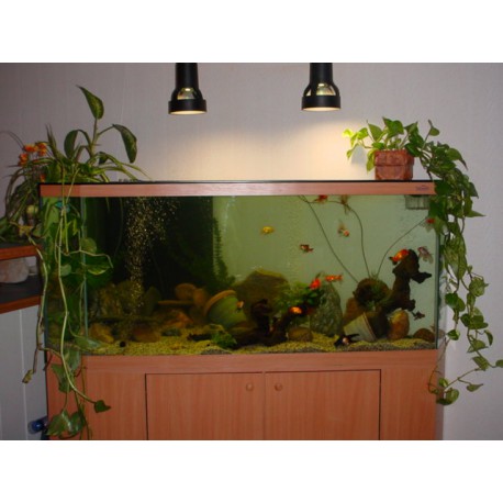 Aquarium d'angle 350 litres et meuble