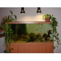 Aquarium d'angle 350 litres et meuble