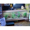 Terrarium d'angle pour Pogona