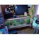 Terrarium d'angle pour Pogona