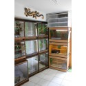 Terrarium d'angle pour Pogona