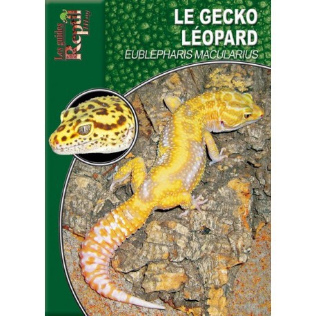 Eublepharis Macularius - Le Gecko Léopard