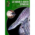 Varanus Acanthurus - Le Varan à Queue Epineuse