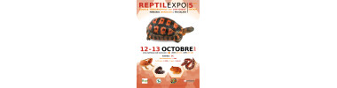 MERIGNAC (33) Reptilexpo sud-ouest