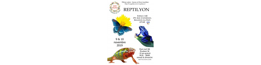 REPTILYON (69)